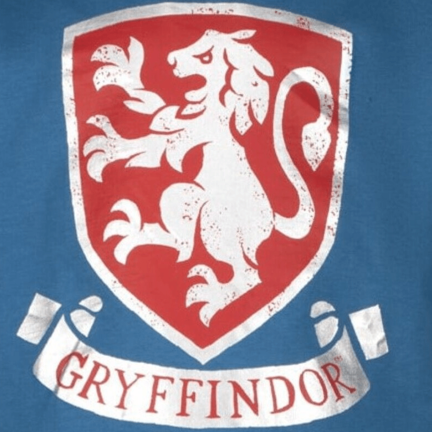 Harry Potter Genser Gryffindor - Supernerds
