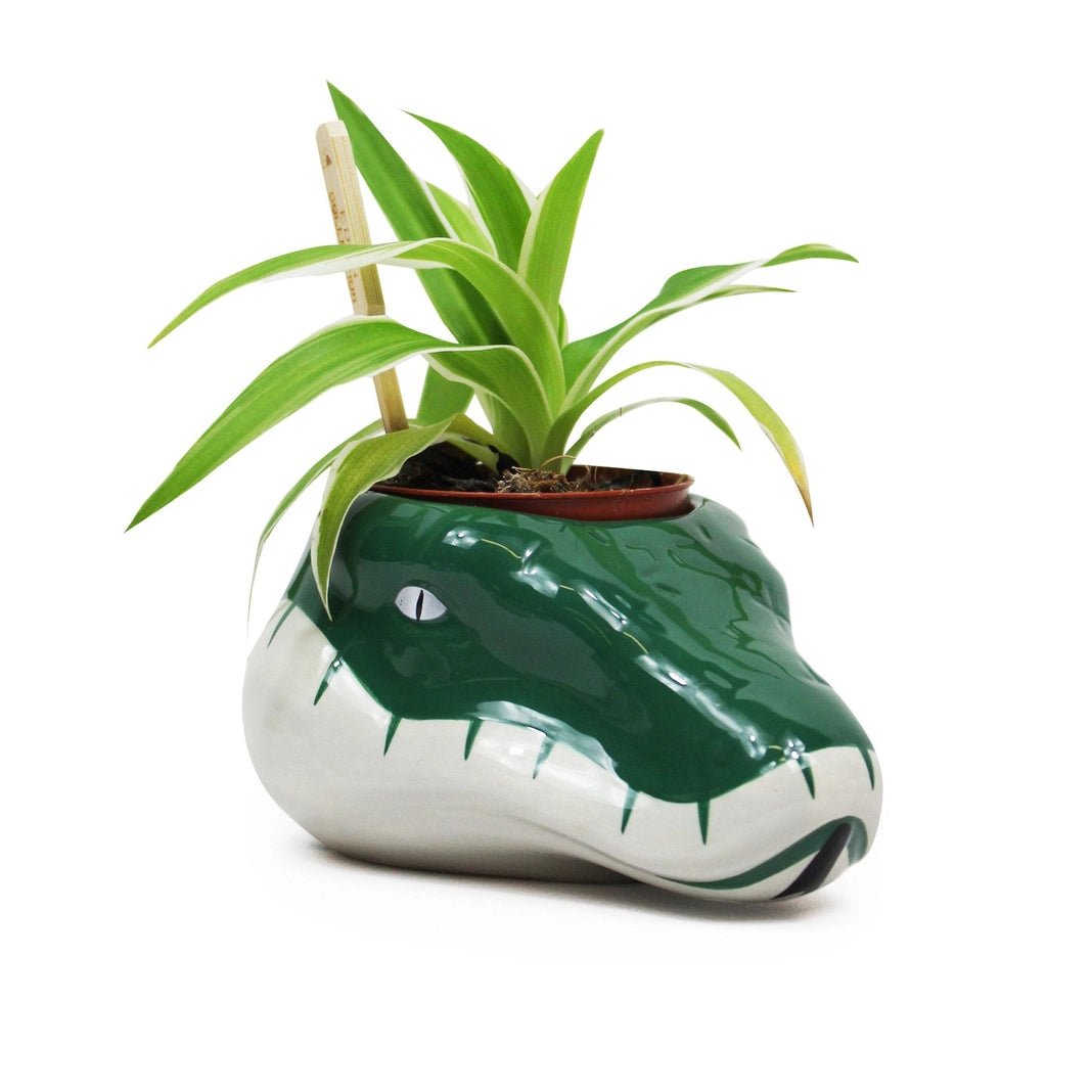 Harry Potter Vase Slytherin - Supernerds