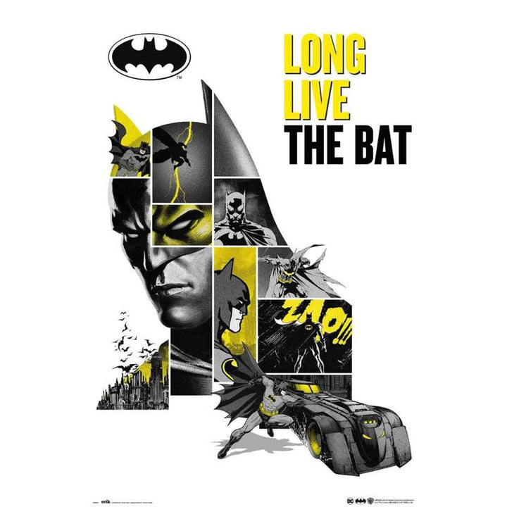 Batman Plakat 80th Anniversary - Supernerds