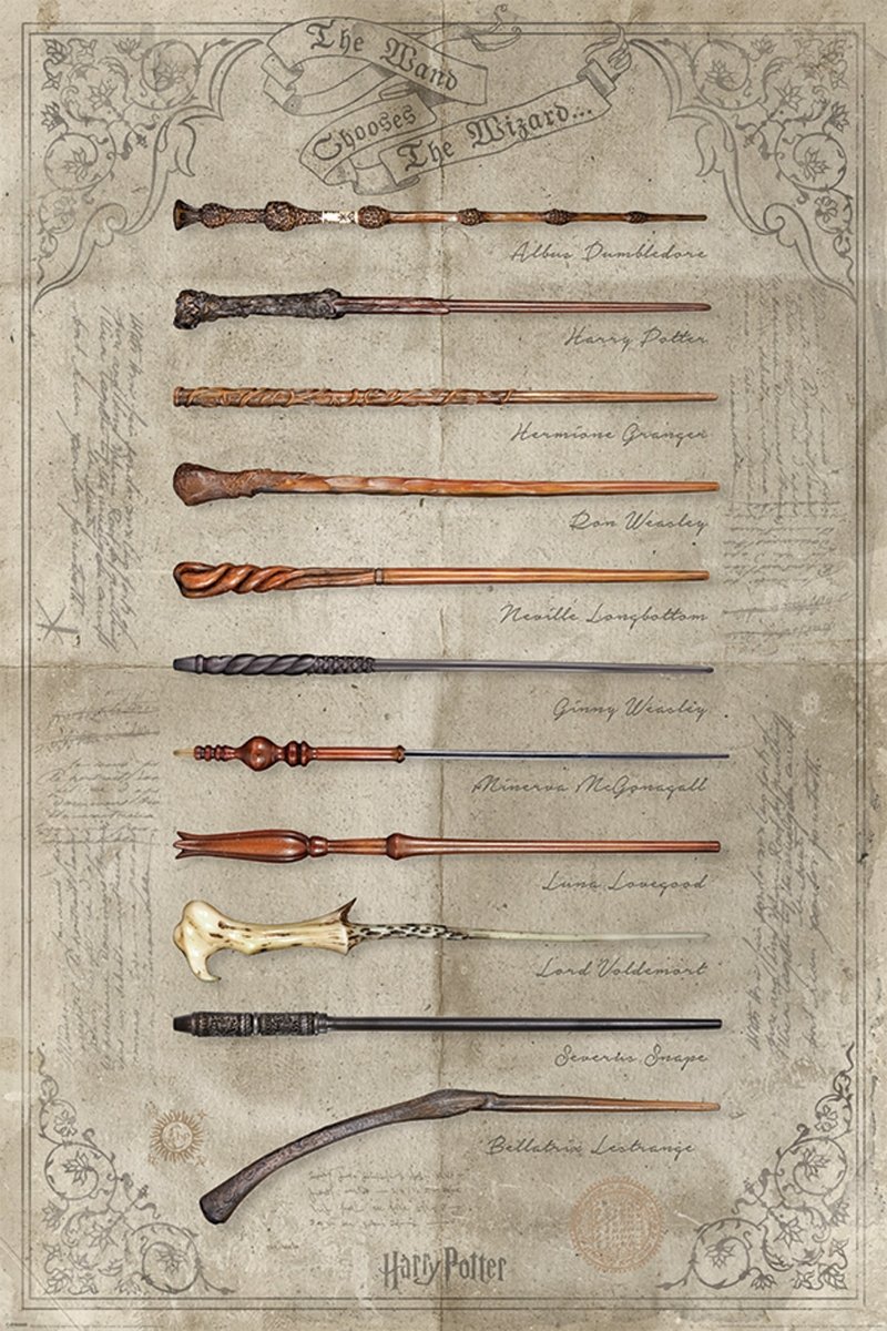 Harry Potter Plakat The Wand Chooses The Wizard - Supernerds