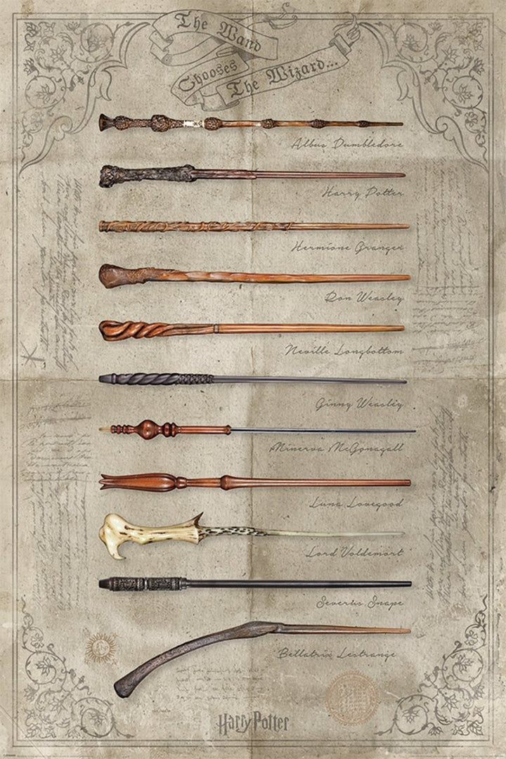 Harry Potter Plakat The Wand Chooses The Wizard - Supernerds