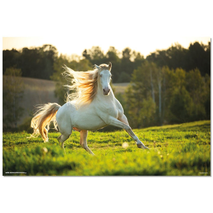 Hvit Hest Plakat - Supernerds