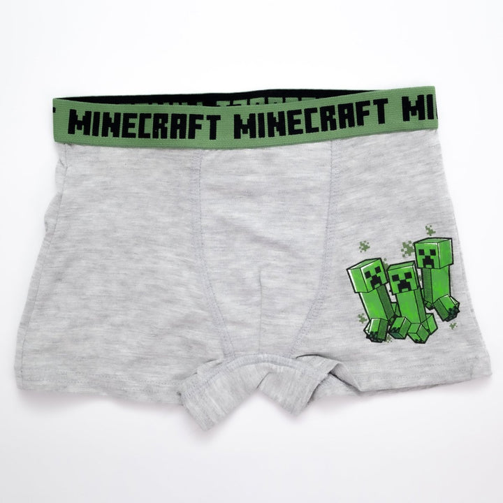 Minecraft Boxer 2-pk Crazy Creepers - Supernerds
