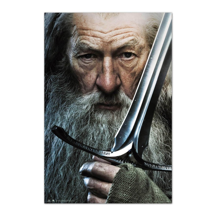 Ringenes Herre Plakat Gandalf - Supernerds