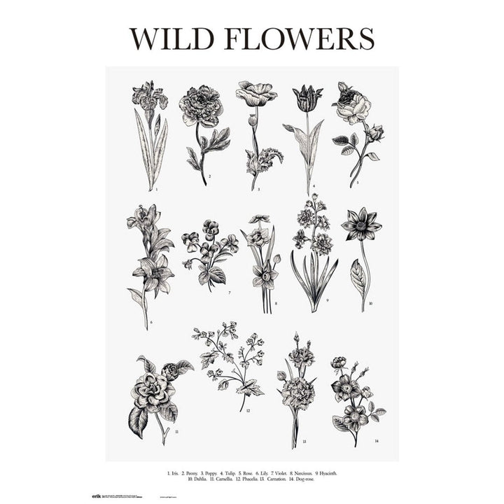 Ville Blomster Sort Hvit Plakat - Supernerds